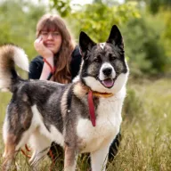 Hades 1211/24 - samiec, 5 lat