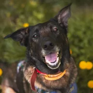 Lea 0255/24 - samica, 6 lat