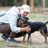 Galgo 0310/25 - samiec, 4 lata