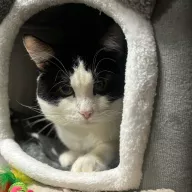 Bilecik 0359/25 - samiec, 4 lata