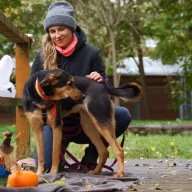 Hana 0718/25 - samica, 1 rok