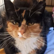 Brzózka 0846/25 - samica, 3 lata