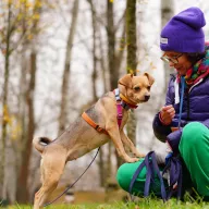 Brandy 0900/25 - samica, 1 rok