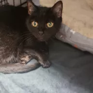 Maja 1024/25 - samica, 16 lat