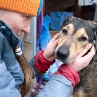 Saskia 1051/25 - samica, 8 lat