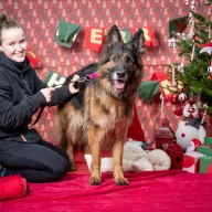 Fiona 1122/25 - samica, 8 lat