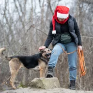 Dubaj 0196/24 - samiec, 4 lata