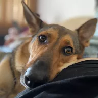 Donna 0397/25 - samica, 6 lat