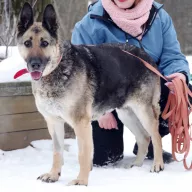 Krecia 1348/25 - samica, 8 lat