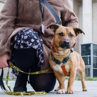 Tymianek 0991/25 - samiec, 2 lata