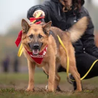 Barry 0921/23 - samiec, 8 lat