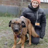 Bibi 1227/25 - samiec, 3 lata