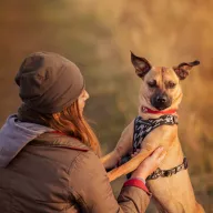 Pino 1784/24 - samiec, 2 lata