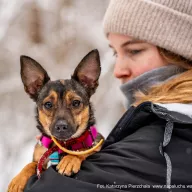 Moli 1250/25 - samica, 1 rok