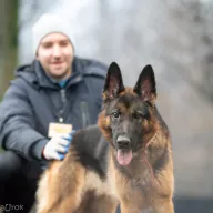 Hera 1176/25 - samica, 4 lata