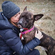 Kaszmir 1506/24 - samiec, 2 lata