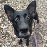 Lucynka 1207/25 - samica, 5 lat