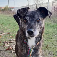 Mija 1811/23 - samica, 6 lat