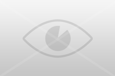 Hunter 0861/21 - samiec, 5 lat