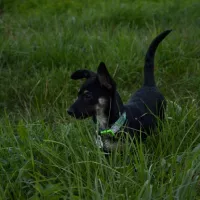 Jadzia 0009/24/F