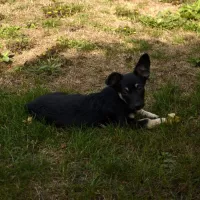 Jadzia 0009/24/F