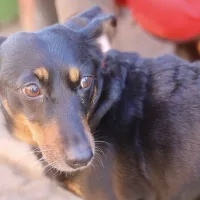 Bibi 0074/25
