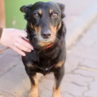 Bibi 0074/25