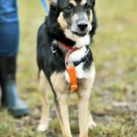 Kobi 0028/21/T