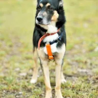 Kobi 0028/21/T