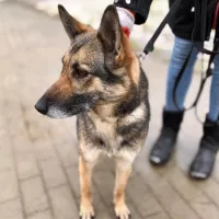 Franka 0118/22