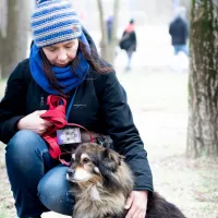 Miecio 0159/22