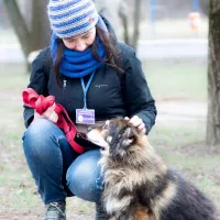 Miecio 0159/22