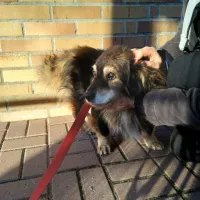 Miecio 0159/22