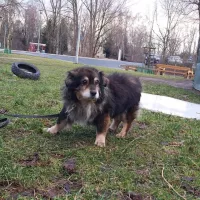 Miecio 0159/22