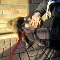 Miecio 0159/22