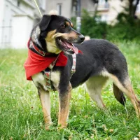 Shira 0519/22