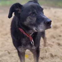Ozzy 0852/22
