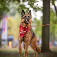 Oskar 0873/22