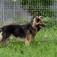 Otto 0968/22