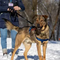 Ulf 0054/23