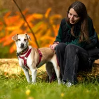 Blondi 0515/23