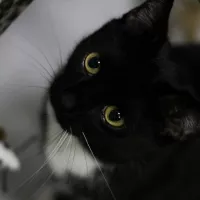 Miśka 0188/23