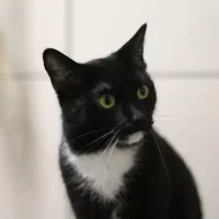 Miśka 0188/23