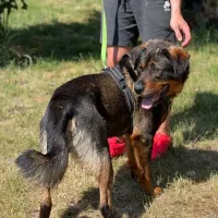 Goran 0718/23