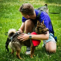 Charlie 0740/23