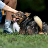 Charlie 0740/23