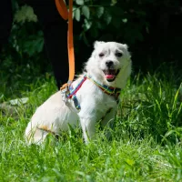 Meggie 0769/23