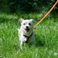Meggie 0769/23