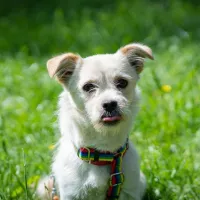 Meggie 0769/23