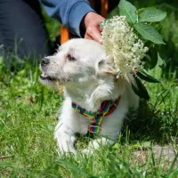 Meggie 0769/23